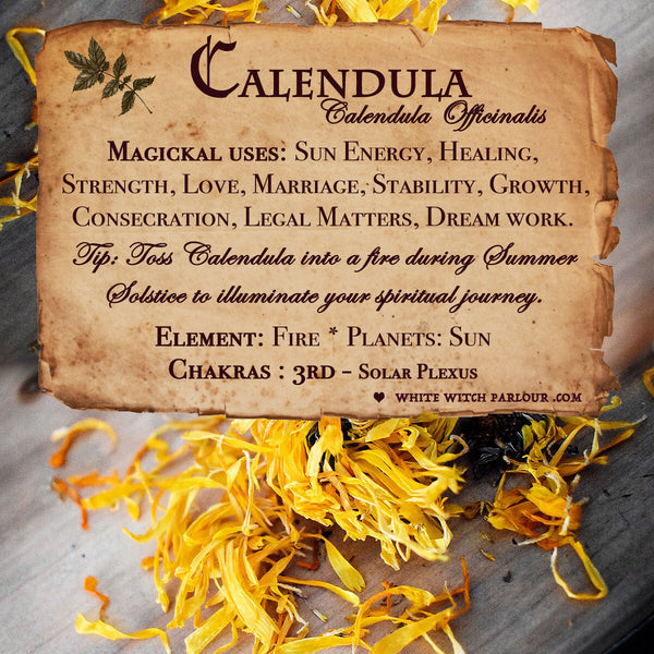 CALENDULA APOTHECARY. Calendula Officinalis Dried Herbs. For Sun Energy, Healing & Strength