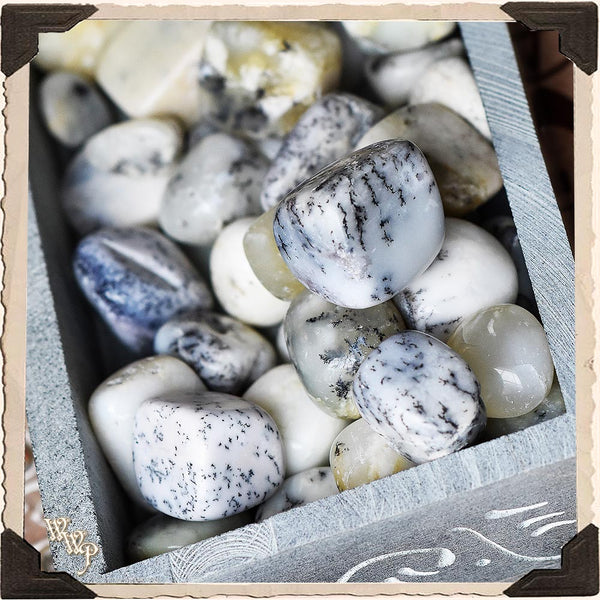 DENDRITIC TUMBLED CRYSTAL. For Grounded Energy, Protection & Abundance. White Witch Parlour