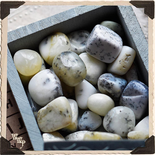 DENDRITIC TUMBLED CRYSTAL. For Grounded Energy, Protection & Abundance. White Witch Parlour