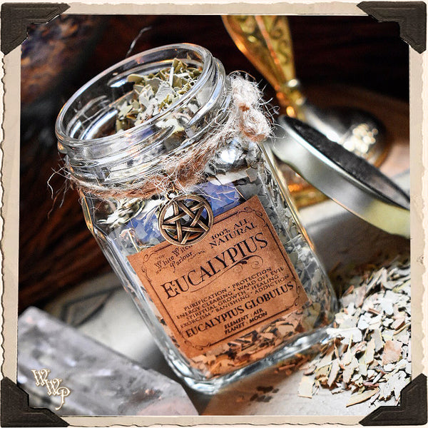 EUCALYPTUS LEAVES APOTHECARY. Dried Herbs. For Purification, Healing & Protection. White Witch Parlour