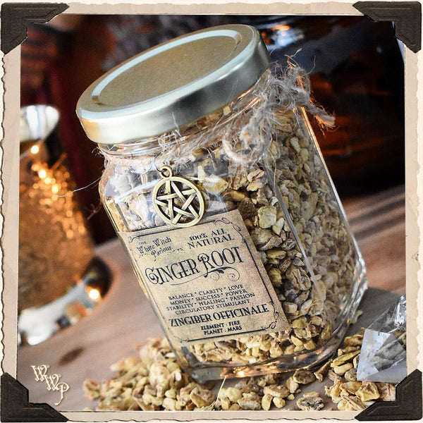 GINGER ROOT Dried Herb Zingiber Officinale. For Grounding, Balance & Success.