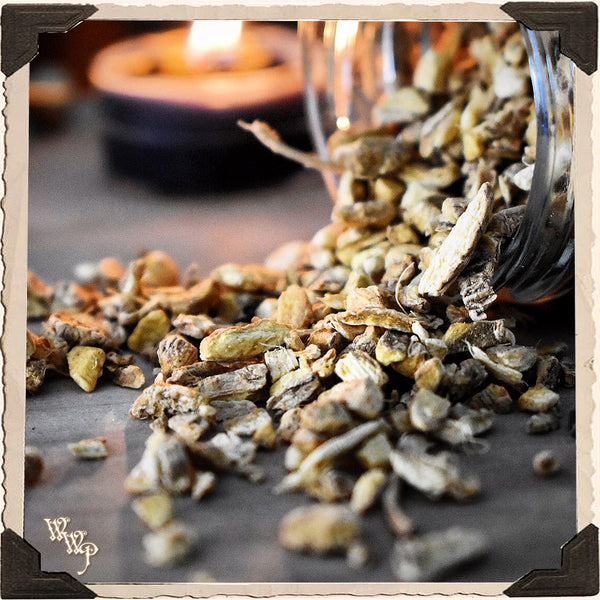 GINGER ROOT Dried Herb Zingiber Officinale. For Grounding, Balance & Success.