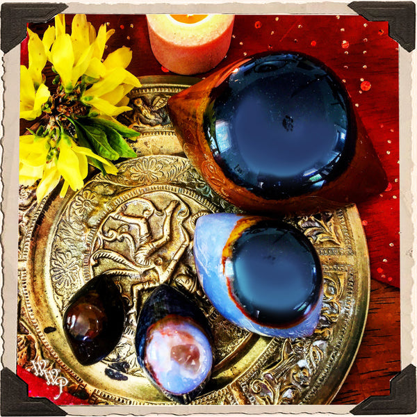 SHIVA'S EYE AGATE. Third Eye Carved Crystal. For Spiritual Protection, Rebirth, Awakening. White Witch Parlour