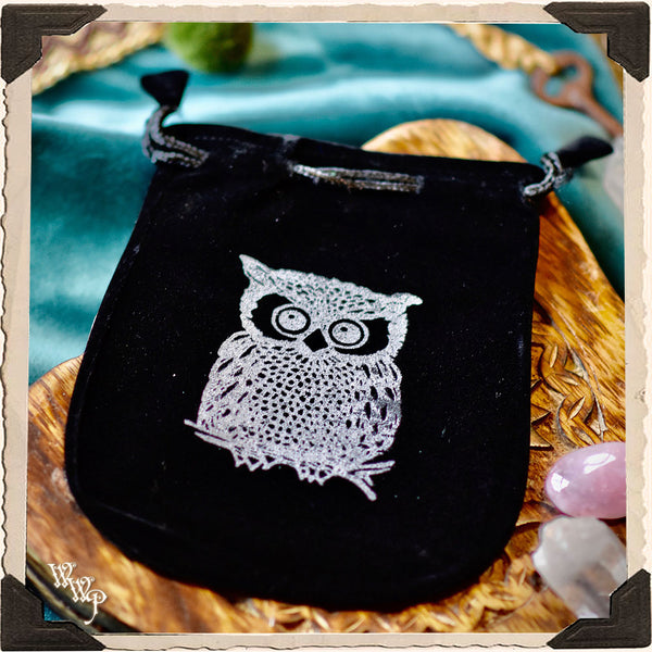 VELVET OWL POUCH. Witch's Keepsake Bag.