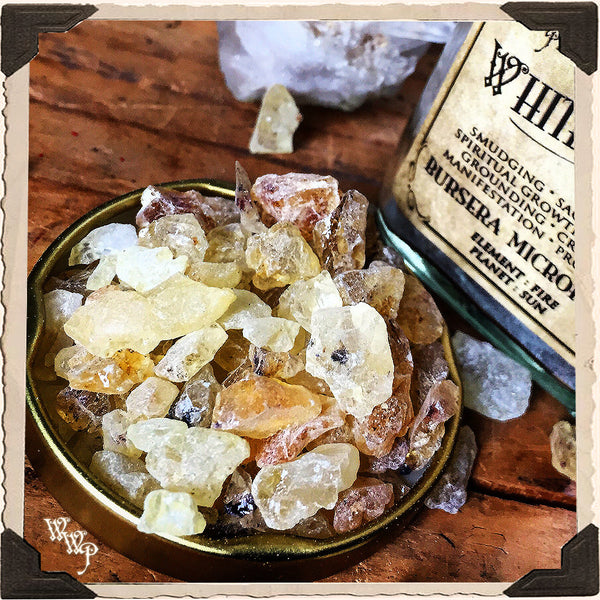 WHITE COPAL RESIN APOTHECARY. All Natural Incense. For Clearing Energy, Creativity & Raising Vibrations.