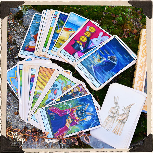 Bohemian Animal TAROT CARDS by King & McLeod. For Divine Guidance & Animal Messages. Divination White Witch Parlour