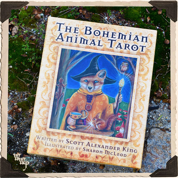 Bohemian Animal TAROT CARDS by King & McLeod. For Divine Guidance & Animal Messages. Divination White Witch Parlour