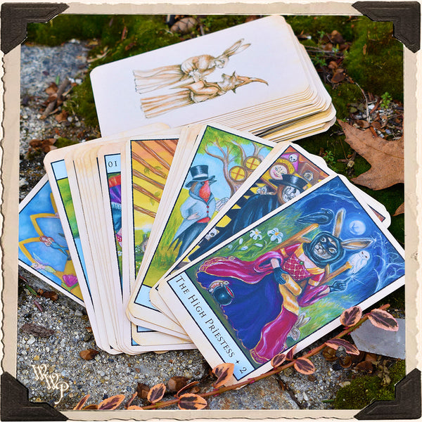 Bohemian Animal TAROT CARDS by King & McLeod. For Divine Guidance & Animal Messages. Divination White Witch Parlour