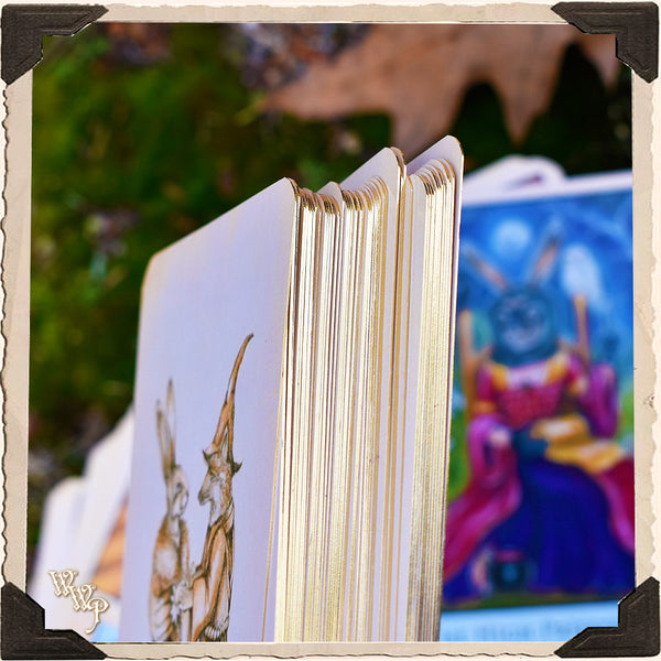 Bohemian Animal TAROT CARDS by King & McLeod. For Divine Guidance & Animal Messages. Divination White Witch Parlour
