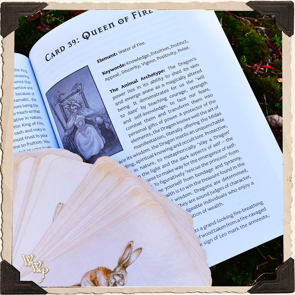 Bohemian Animal TAROT CARDS by King & McLeod. For Divine Guidance & Animal Messages. Divination White Witch Parlour
