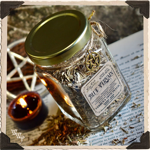 BLUE VERVAIN Dried Herb Verbena Officinalis. For Balance, Anointing & Banishing.
