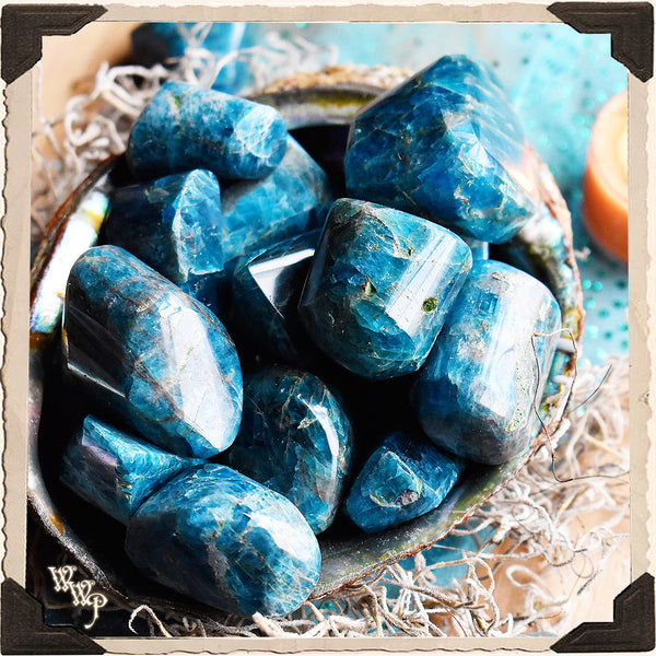 Blue Apatite Tumbled Crystal. For Speaking Your Truth & Manifestation.