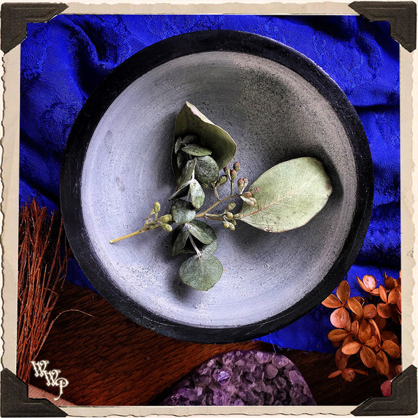 BLACK SOAPSTONE CARVED SMUDGE BOWL. Black & Gray Witches Ritual Smudge Pot & Charcoal Burner. White Witch Parlour