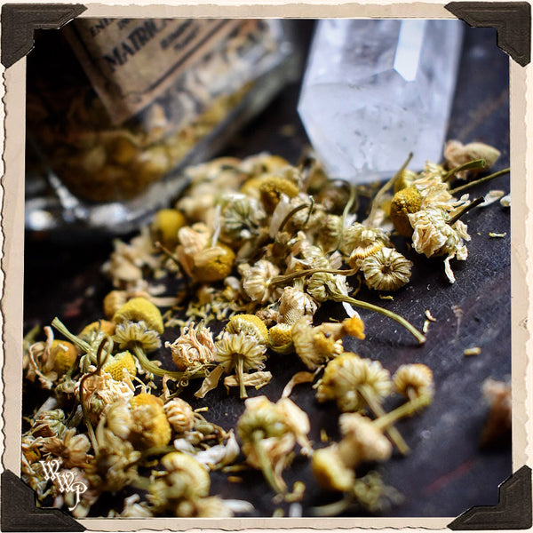 CHAMOMILE FLOWER APOTHECARY. Dried Herbs. For Calming, Peace & Blessings.