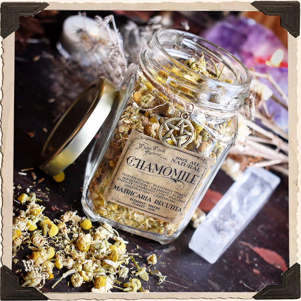 CHAMOMILE FLOWER APOTHECARY. Dried Herbs. For Calming, Peace & Blessings.