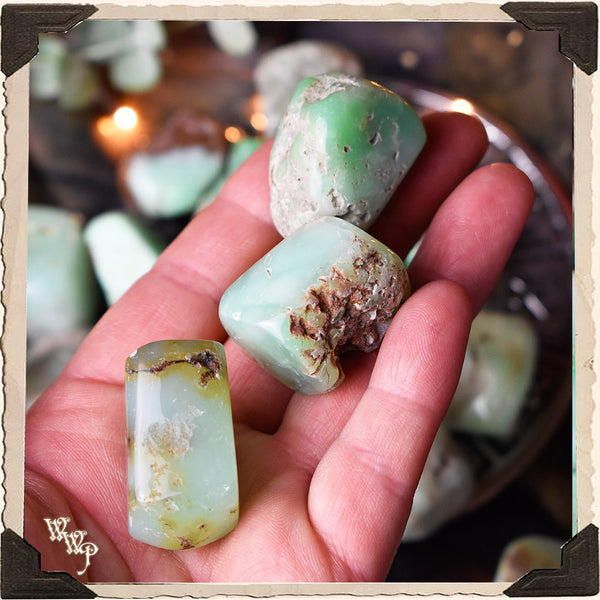 CHRYSOPRASE TUMBLED CRYSTAL. For Good Fortune, Momentum & Colorful Energy.