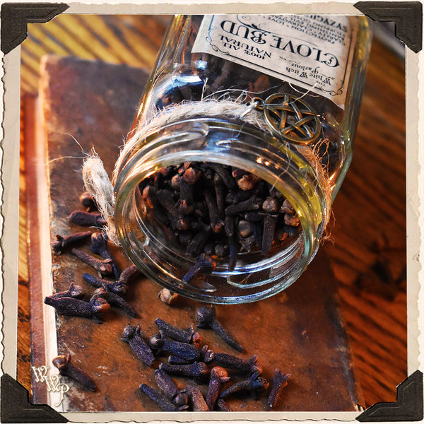 CLOVE BUD APOTHECARY. Dried Herbs. For Stopping Gossip, Protection & Power. White Witch Parlour