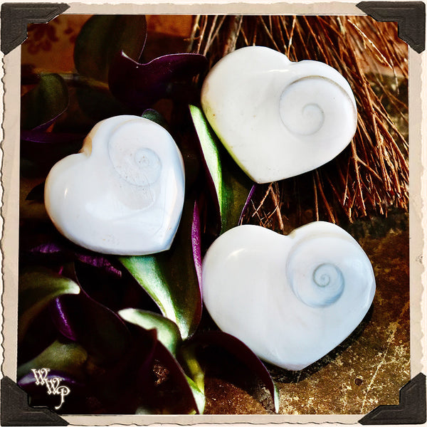 FIBONACCI FOSSIL HEART. Gemstone Talisman For All Life Connection, Earth Energy & Sacred Geometry.