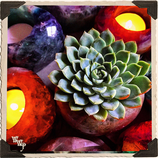 FLUORITE CANDLE HOLDER. For Spiritual Awakening & Psychic Awareness. Tealight Crystal. White Witch Parlour