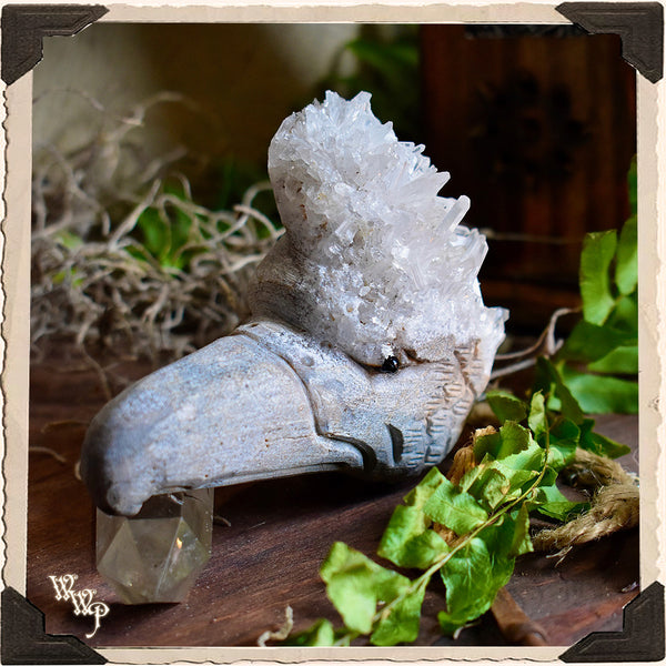 GOSHAWK CLEAR QUARTZ Cluster Animal Totem. For Energy Amplification, Bravery & Spiritual Awareness.