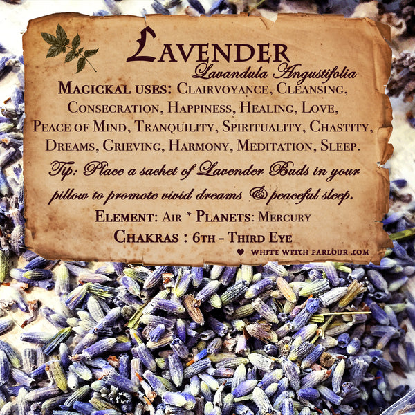 LAVENDER BUDS APOTHECARY. Dried Herbs. For Relaxation, Divination, Meditation & Sleep.