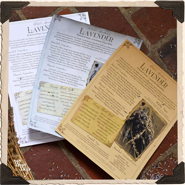 LAVENDER APOTHECARY PAGE. Instant Digital Download. by The White Witch Parlour