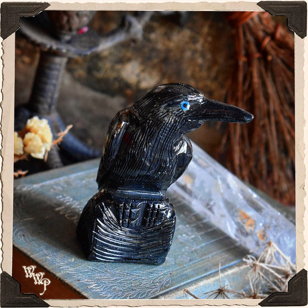 BLACK ONYX RAVEN. Spirit Animal Totem, Gemstone of Protection & Wisdom.