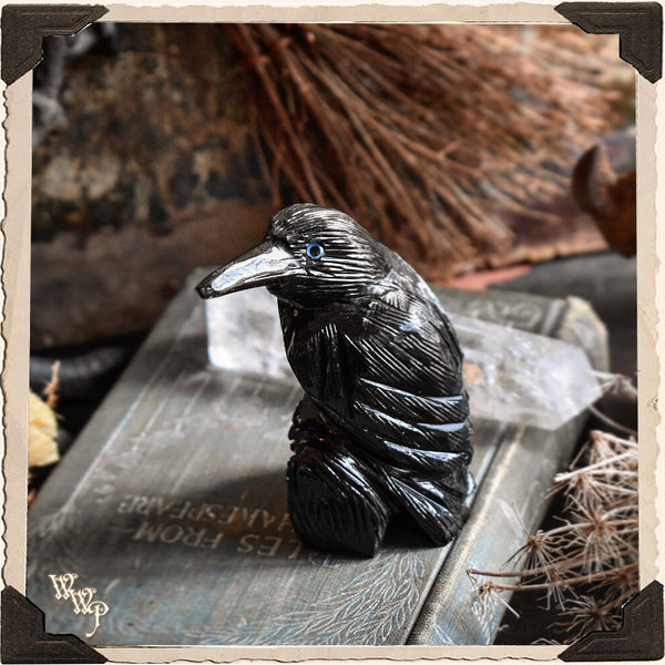 BLACK ONYX RAVEN. Spirit Animal Totem, Gemstone of Protection & Wisdom. White Witch Parlour