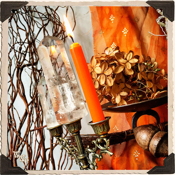 ORANGE SPELL CANDLES. 13 Pack - Unscented. Mini Taper Candle Magick for Earth, Fire Element & Sacral Chakra. White Witch Parlour