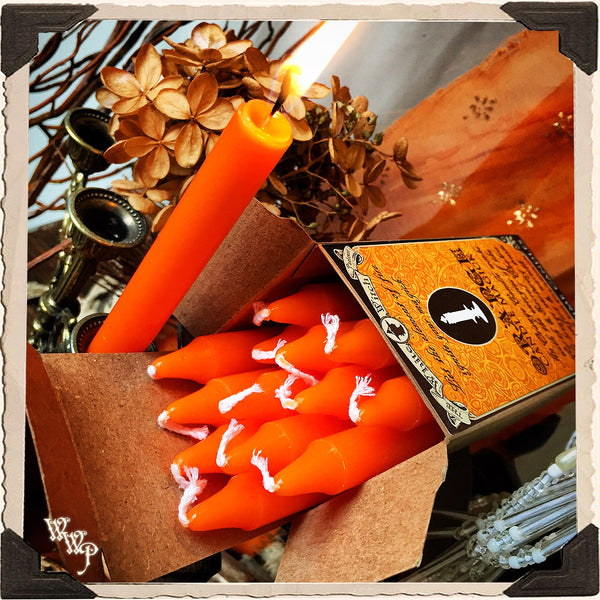 ORANGE SPELL CANDLES. 13 Pack - Unscented. Mini Taper Candle Magick for Earth, Fire Element & Sacral Chakra. White Witch Parlour