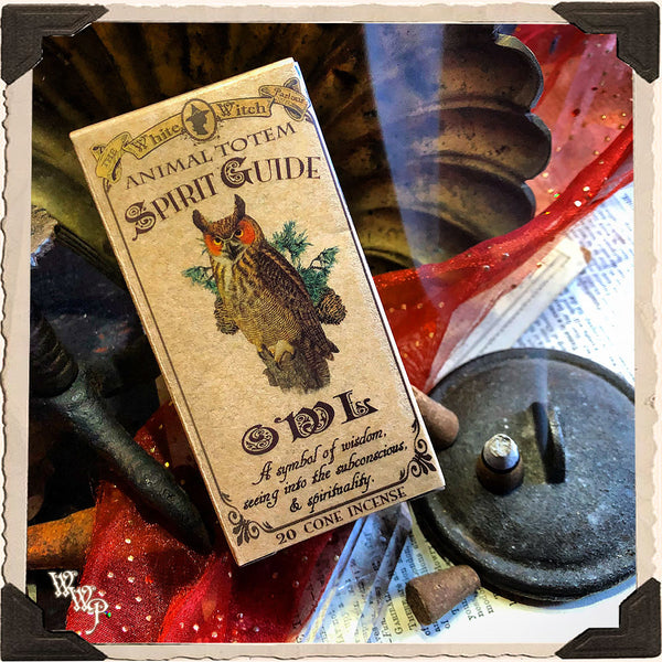 OWL CONE INCENSE. Animal Totem for Wisdom, Spiritual Sight & Spirituality.