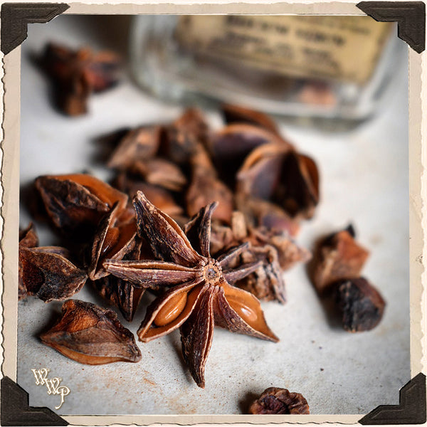 ANISE STAR APOTHECARY. Dried Herbs. For Clarity, Awakening & Clairvoyance.