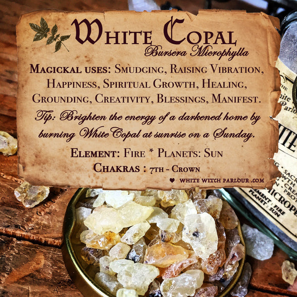 WHITE COPAL RESIN APOTHECARY. All Natural Incense. For Clearing Energy, Creativity & Raising Vibrations.
