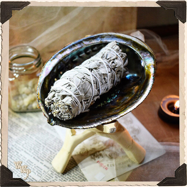 SMUDGE KIT: White Sage & Abalone Shell For Spiritual Cleansing