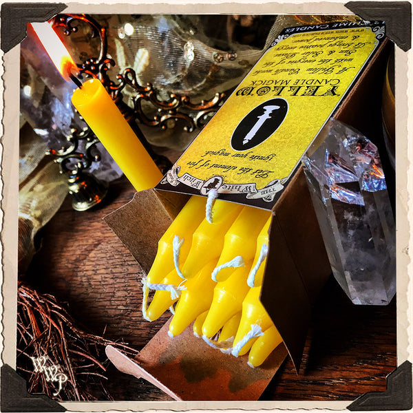 YELLOW SPELL CANDLES. 13 Pack - Unscented. Mini Taper Candle Magick for Sun Energy & Solar Plexus.
