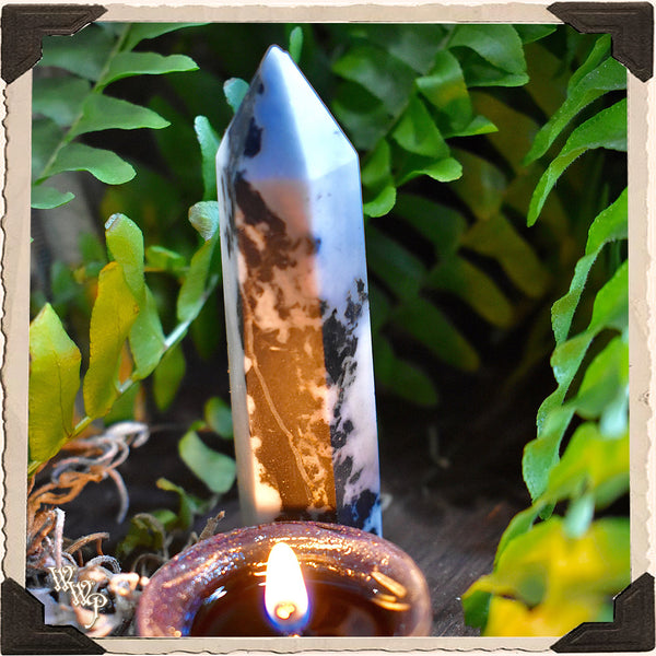 ZEBRA STONE CRYSTAL OBELISK. For Life Contentment, Balance & Problem Solving. White Witch Parlour